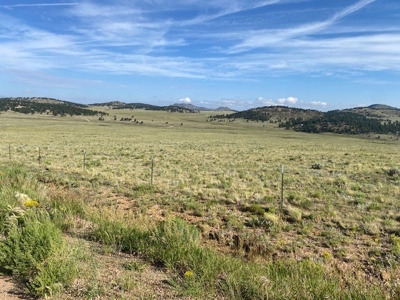Large Agricultural Lot for Sale in Westcliffe Colorado - image 16