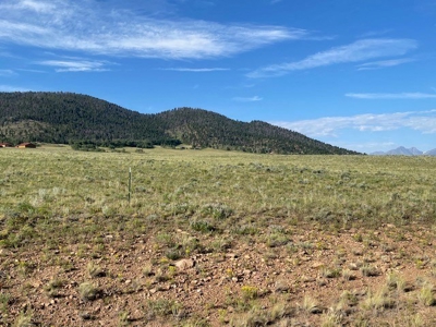 Large Agricultural Lot for Sale in Westcliffe Colorado - image 20