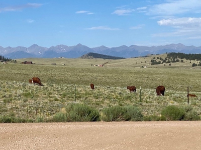 Large Agricultural Lot for Sale in Westcliffe Colorado - image 9