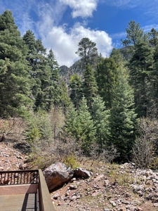 Brazos Cliffs Mountain Cabin, Chama NM - image 4