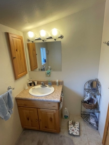 Brazos Cliffs Mountain Cabin, Chama NM - image 22