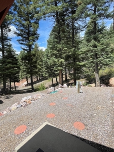 Brazos Cliffs Mountain Cabin, Chama NM - image 28
