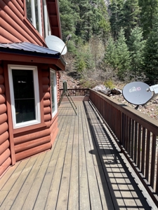 Brazos Cliffs Mountain Cabin, Chama NM - image 3