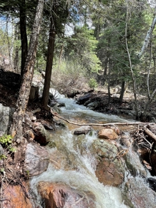Brazos Cliffs Mountain Cabin, Chama NM - image 36