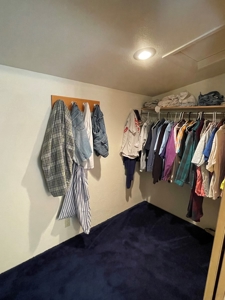 Brazos Cliffs Mountain Cabin, Chama NM - image 24