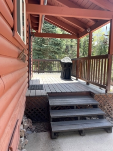 Brazos Cliffs Mountain Cabin, Chama NM - image 1