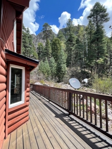 Brazos Cliffs Mountain Cabin, Chama NM - image 27