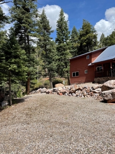 Brazos Cliffs Mountain Cabin, Chama NM - image 31