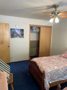 Brazos Cliffs Mountain Cabin, Chama NM - image 12