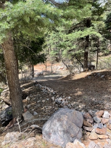 Brazos Cliffs Mountain Cabin, Chama NM - image 30