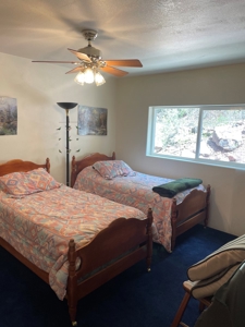 Brazos Cliffs Mountain Cabin, Chama NM - image 11