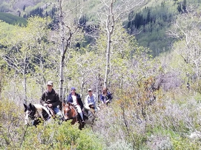 Aspen Colorado outfitting business for sale--NO DEEDED LAND - image 5