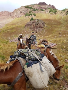 Aspen Colorado outfitting business for sale--NO DEEDED LAND - image 28