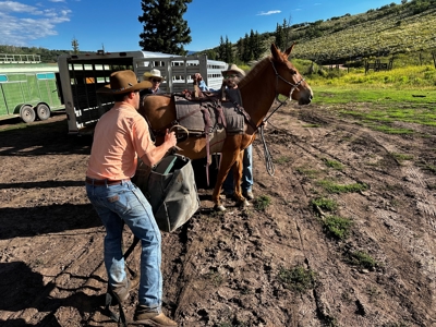 Aspen Colorado outfitting business for sale--NO DEEDED LAND - image 37