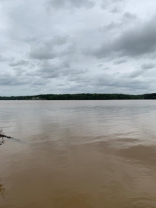 Lake Life Awaits You On Kerr Lake, VA! - image 15