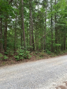 Lake Life Awaits You On Kerr Lake, VA! - image 12