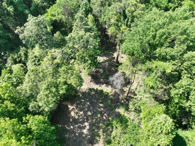 Hunting/ Recreational land for sale in East Texas - image 5