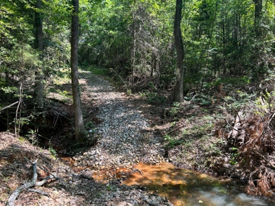 Hunting/ Recreational land for sale in East Texas - image 8
