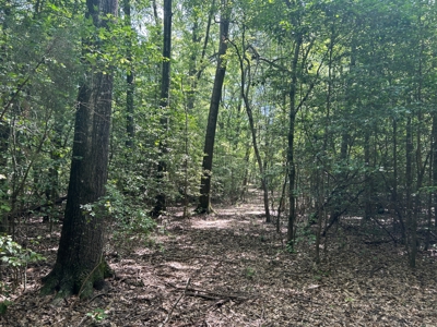 Hunting/ Recreational land for sale in East Texas - image 7