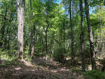 Hunting/ Recreational land for sale in East Texas - image 14
