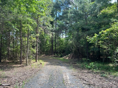 Hunting/ Recreational land for sale in East Texas - image 18