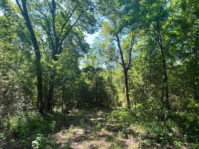 Hunting/ Recreational land for sale in East Texas - image 11