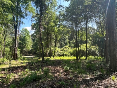 Hunting/ Recreational land for sale in East Texas - image 19