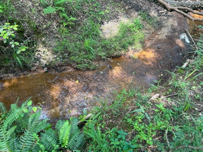 Hunting/ Recreational land for sale in East Texas - image 12