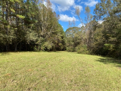 Turnkey 109 Acres for Sale in Clinton, LA - image 12