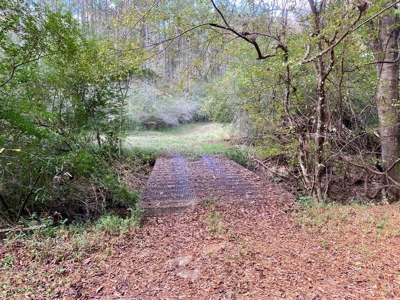 Turnkey 109 Acres for Sale in Clinton, LA - image 9