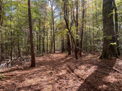Turnkey 109 Acres for Sale in Clinton, LA - image 17