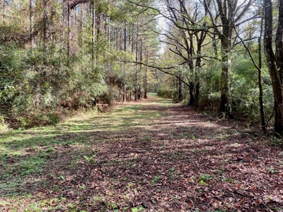 Turnkey 109 Acres for Sale in Clinton, LA - image 11