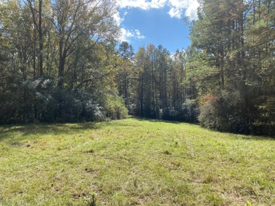 Turnkey 109 Acres for Sale in Clinton, LA - image 13