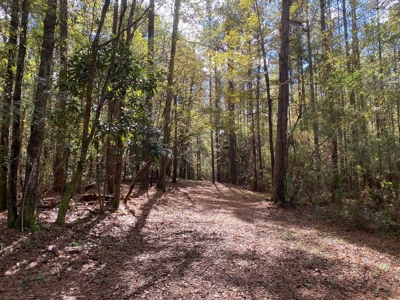 Turnkey 109 Acres for Sale in Clinton, LA - image 15