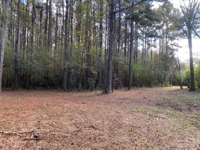 Turnkey 109 Acres for Sale in Clinton, LA - image 10