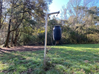 Turnkey 109 Acres for Sale in Clinton, LA - image 8