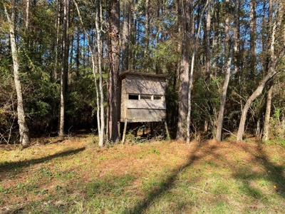 Turnkey 109 Acres for Sale in Clinton, LA - image 7