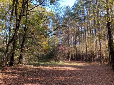 Turnkey 109 Acres for Sale in Clinton, LA - image 3