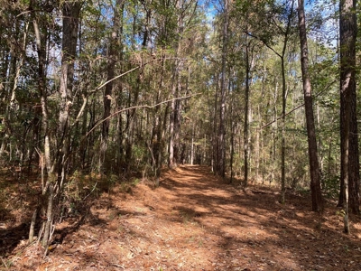 Turnkey 109 Acres for Sale in Clinton, LA - image 16