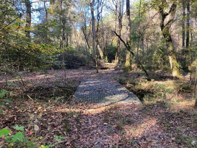 Turnkey 109 Acres for Sale in Clinton, LA - image 4