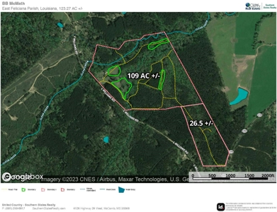 Turnkey 109 Acres for Sale in Clinton, LA - image 21