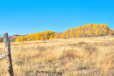 105 acres near Telluride, Colorado with mountain views! - image 20