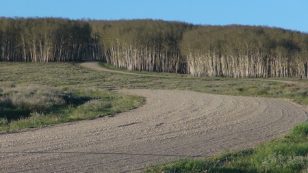 105 acres near Telluride, Colorado with mountain views! - image 12
