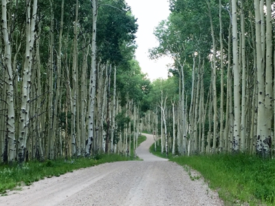 105 acres near Telluride, Colorado with mountain views! - image 14