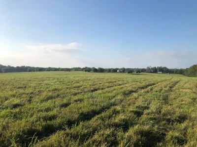 419 +/- Acre Country Estate in Columbia, MO - image 4