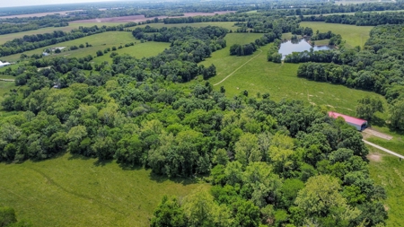 419 +/- Acre Country Estate in Columbia, MO - image 27