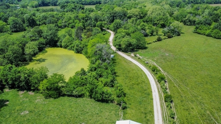 419 +/- Acre Country Estate in Columbia, MO - image 15
