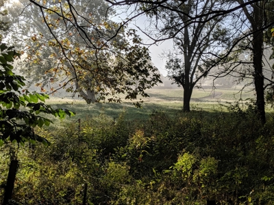 419 +/- Acre Country Estate in Columbia, MO - image 2