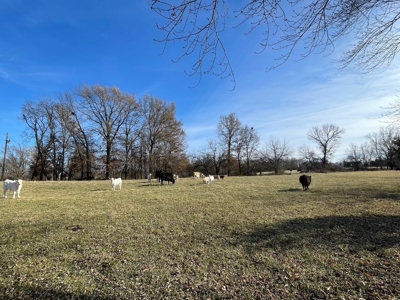 419 +/- Acre Country Estate in Columbia, MO - image 5