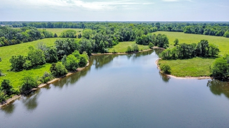 419 +/- Acre Country Estate in Columbia, MO - image 34